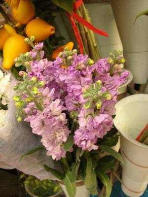 為什么鮮花是最好的禮物——禮品花卉銷售的魅力解析