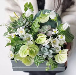 fancy花兮 節(jié)日花禮與禮品花卉銷售指南